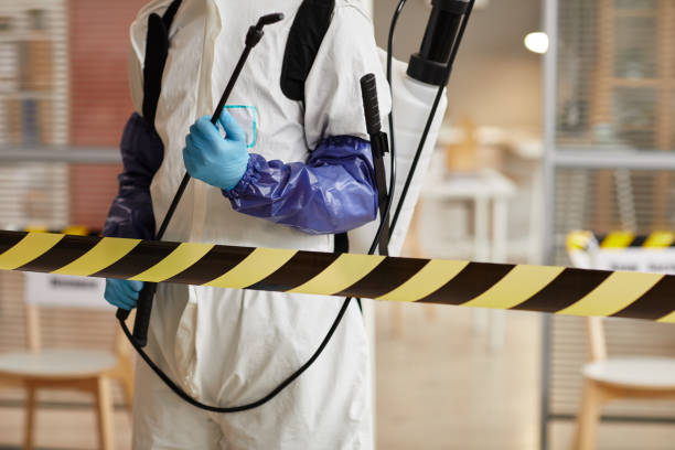 Professional Hoarding Cleanup technician working in Saint Paul, NE